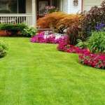 Lawn and Garden